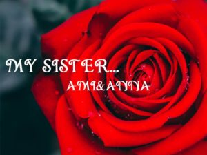 水滴がついた真っ赤なバラの花にMY SISTERの白いテキスト