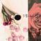シーツの上にコーヒーとマカロンと花が置いてある写真に赤い薔薇の花を合成したグラフック画像