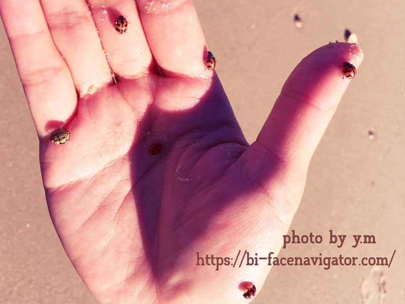 オーストラリアに住んでいる友人の手の平にてんとう虫が6匹止まっている写真