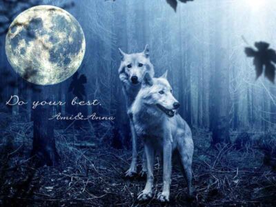 2匹の狼と月のグラフィック画像