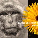 日本猿と黄色い花の合成画像