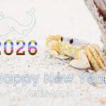 砂浜にいる白い蟹