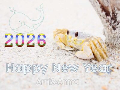 砂浜にいる白い蟹